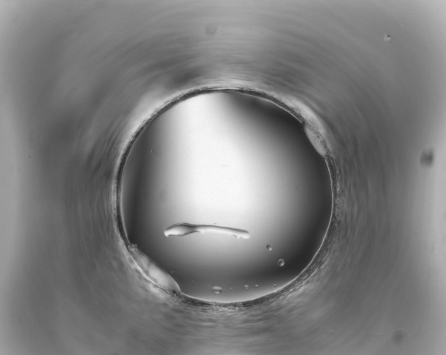 X0000094221191200711021132