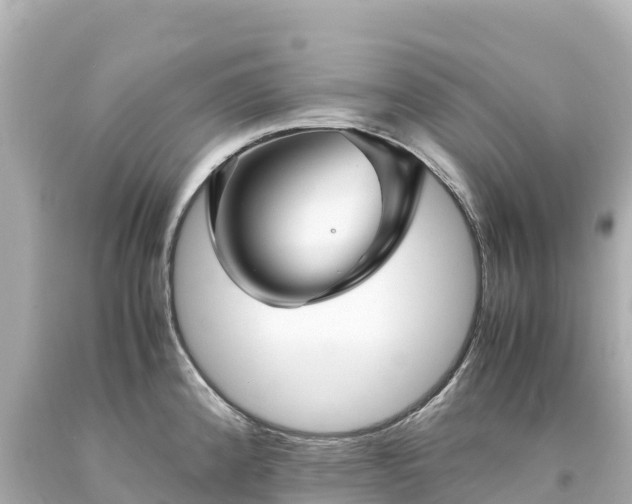 X0000094221192200711021132