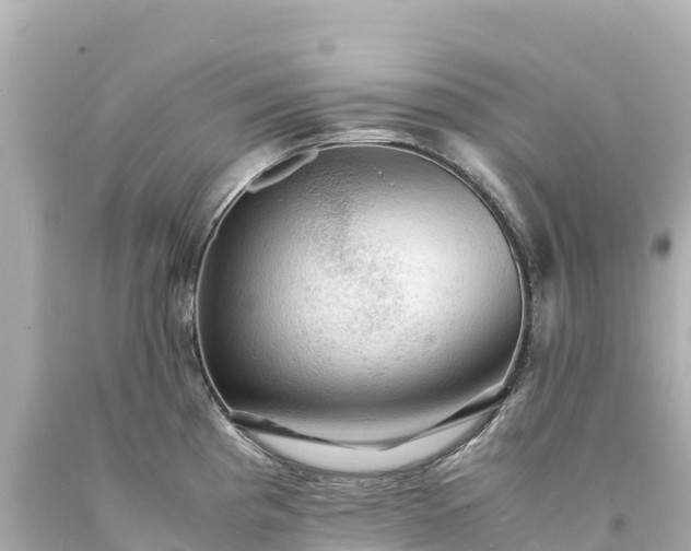 X0000094221193200711021132