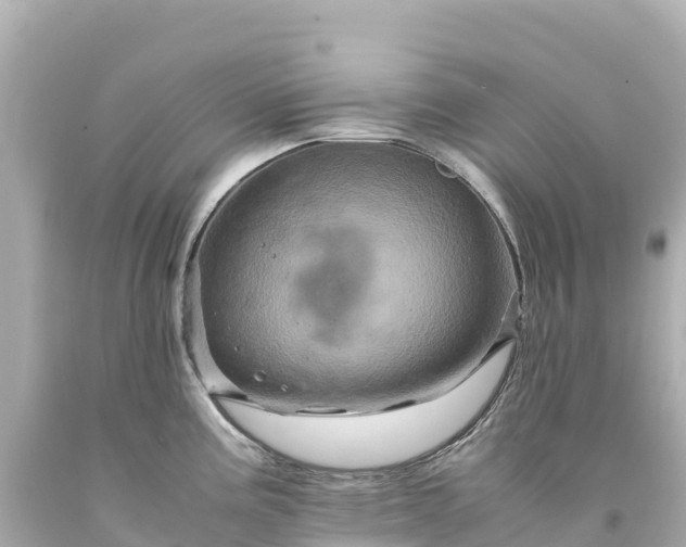 X0000094221195200711021132