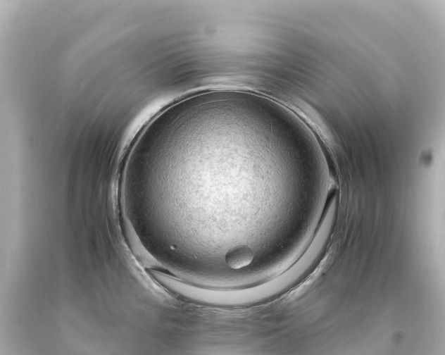 X0000094221196200711021132