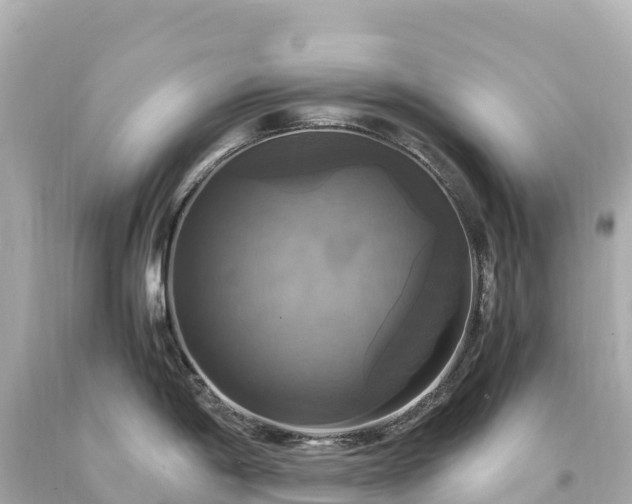 X0000094221198200711021132