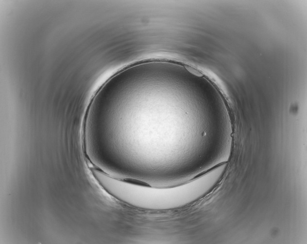 X0000094221199200711021132