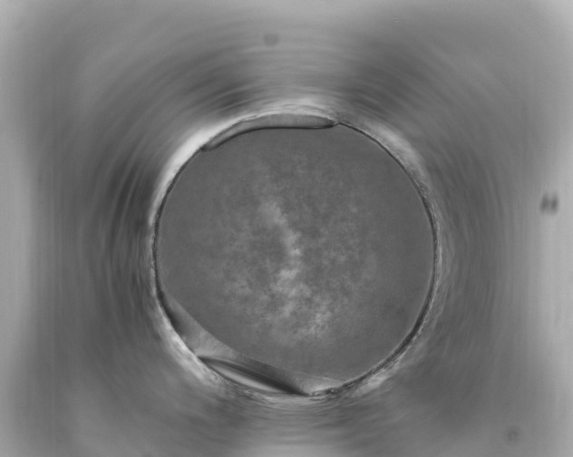 X0000094221200200711021132