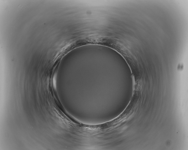 X0000094221202200711021131