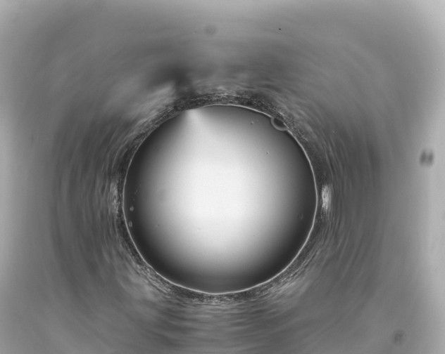 X0000094221203200711021131