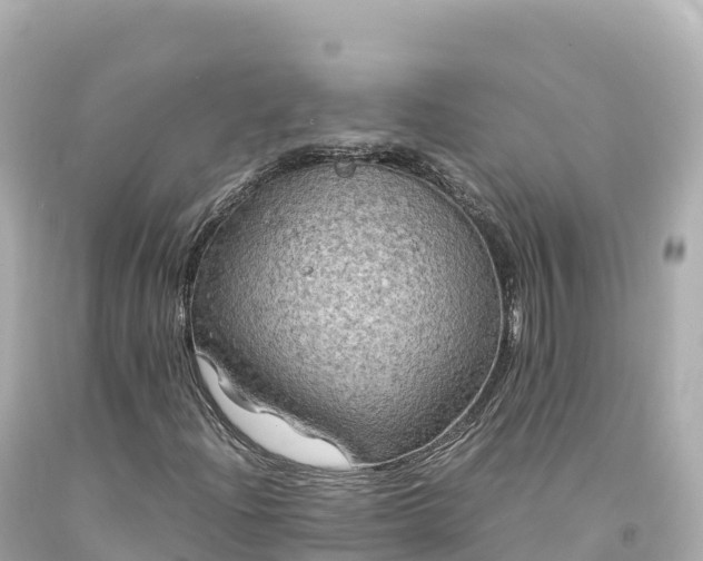 X0000094221204200711021131