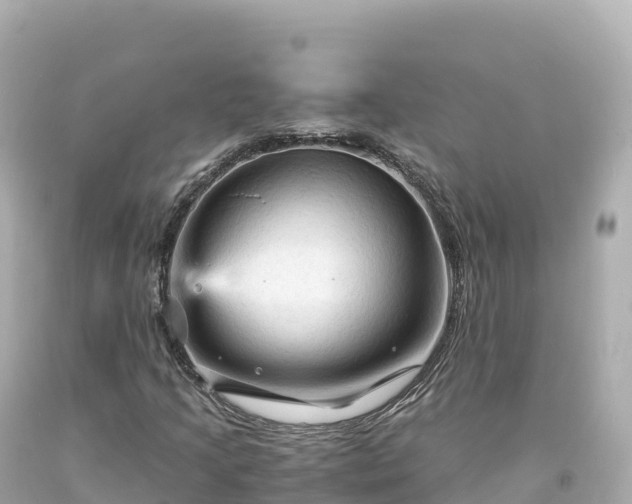 X0000094221205200711021131