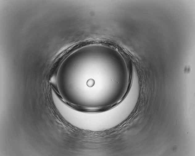 X0000094221206200711021131