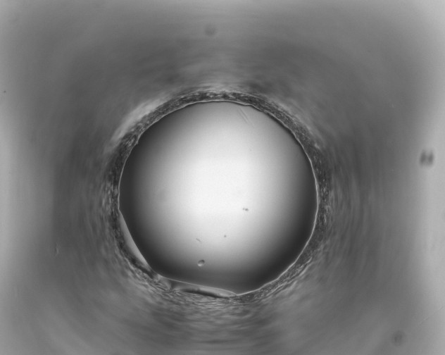 X0000094221207200711021131