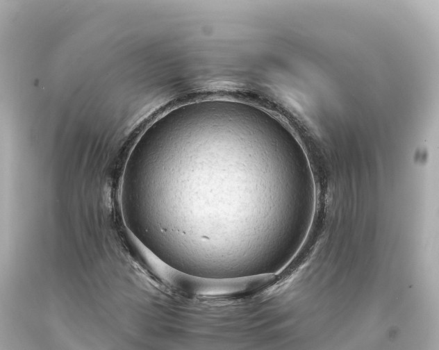 X0000094221209200711021131