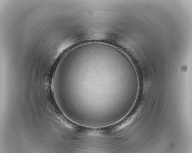 X0000094221210200711021132