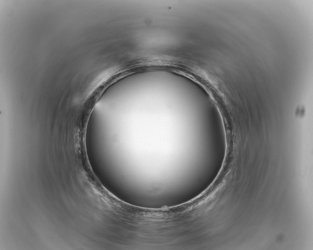 X0000094221211200711021132