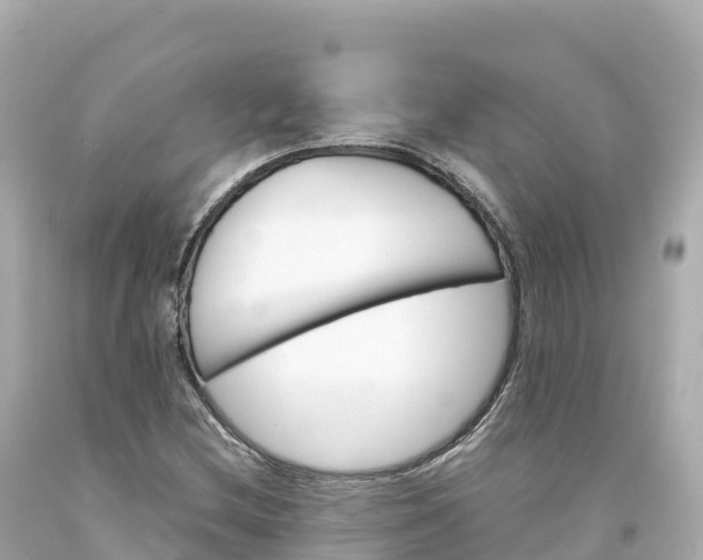 X0000094221212200711021132