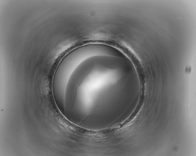 X0000094221213200711021132