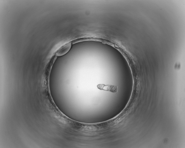 X0000094221215200711021132