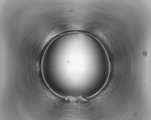 X0000094221218200711021132