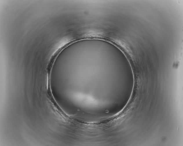 X0000094221219200711021132