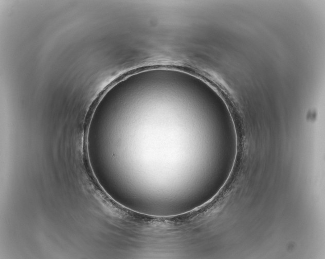 X0000094221220200711021132