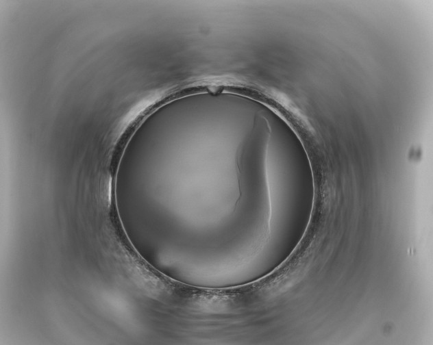 X0000094221221200711021132