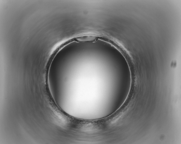 X0000094221222200711021132