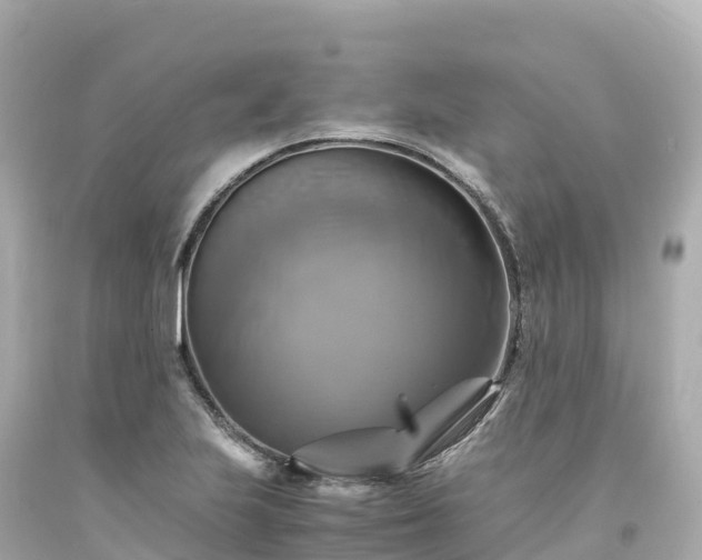 X0000094221223200711021132