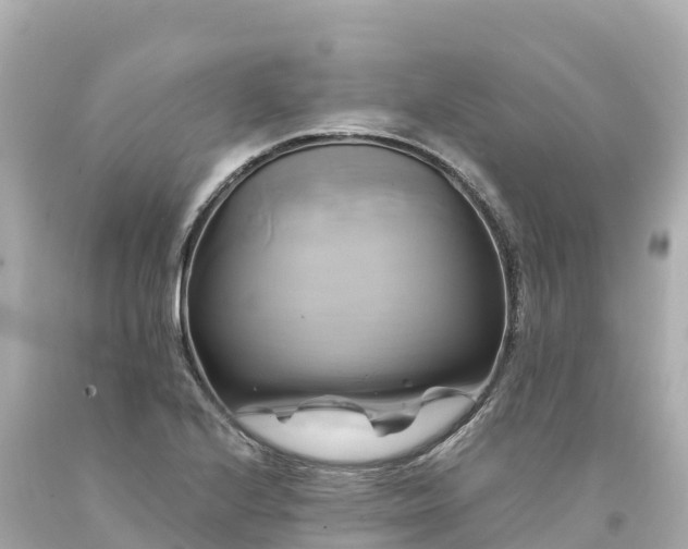 X0000094221224200711021132