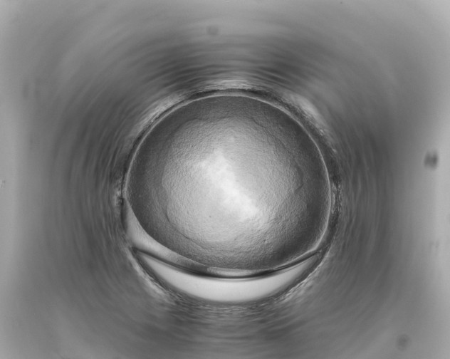 X0000094221225200711021132