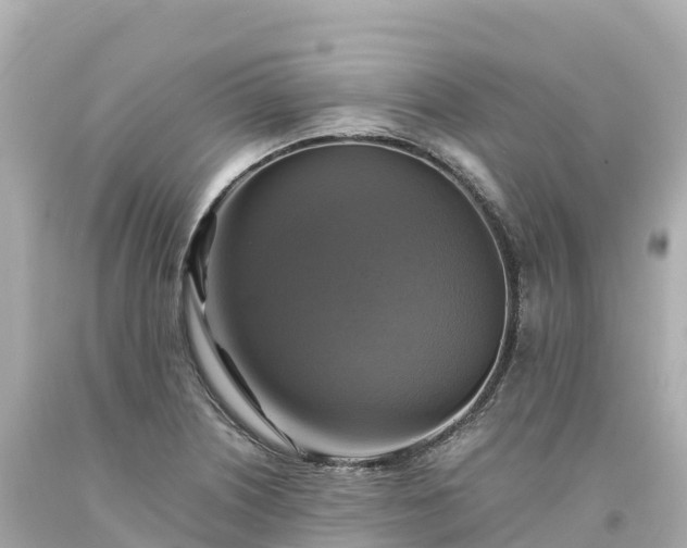 X0000094221226200711021132