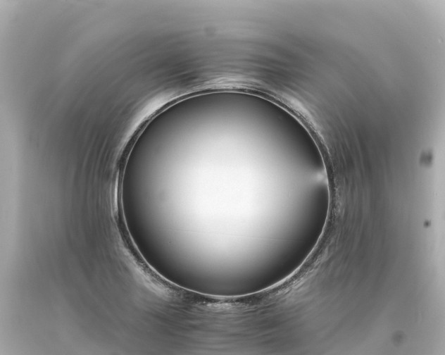 X0000094221227200711021132