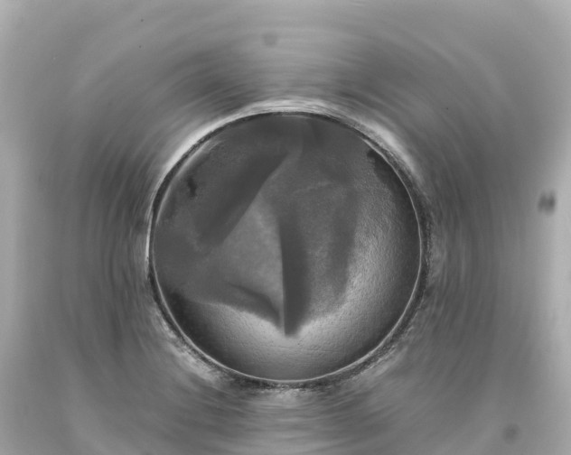 X0000094221228200711021132