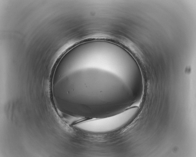 X0000094221229200711021132