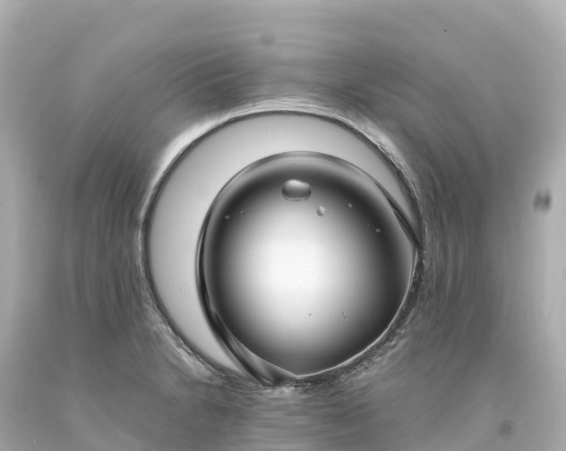 X0000094221230200711021132