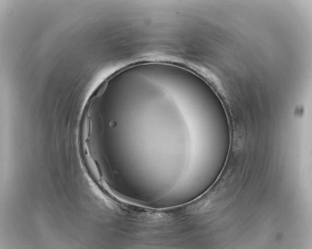 X0000094221231200711021132