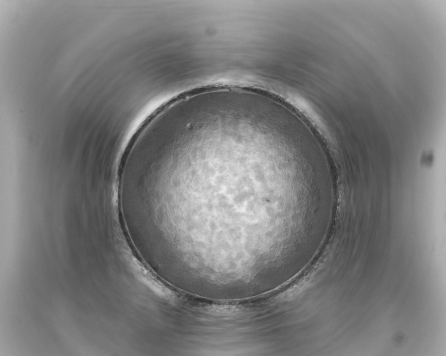 X0000094221232200711021132