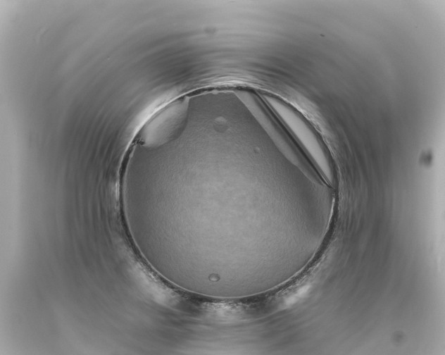 X0000094221234200711021132