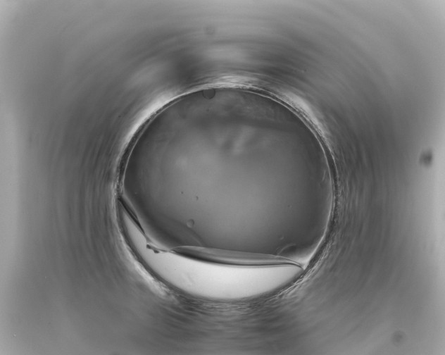 X0000094221235200711021132