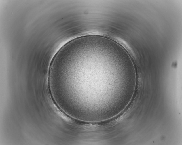 X0000094221236200711021132