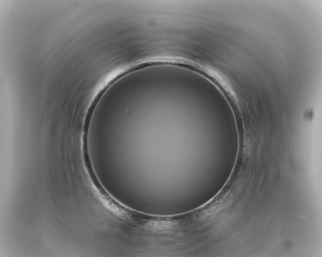 X0000094221237200711021132