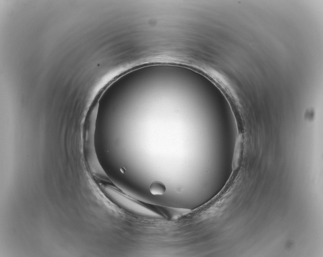 X0000094221238200711021132