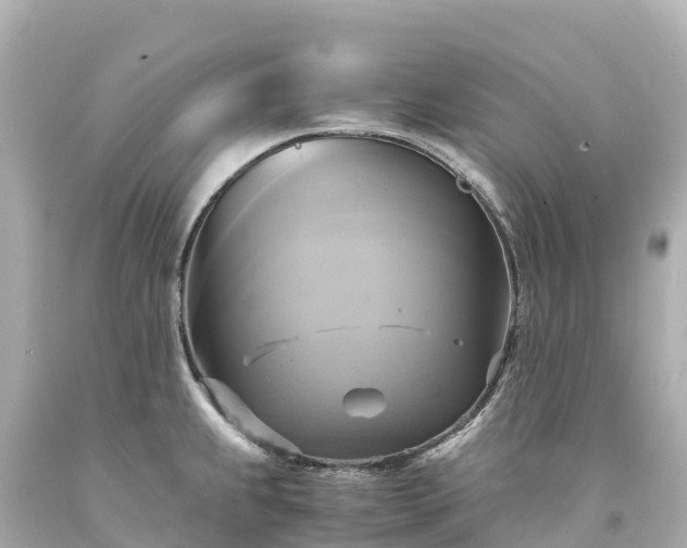 X0000094221239200711021132