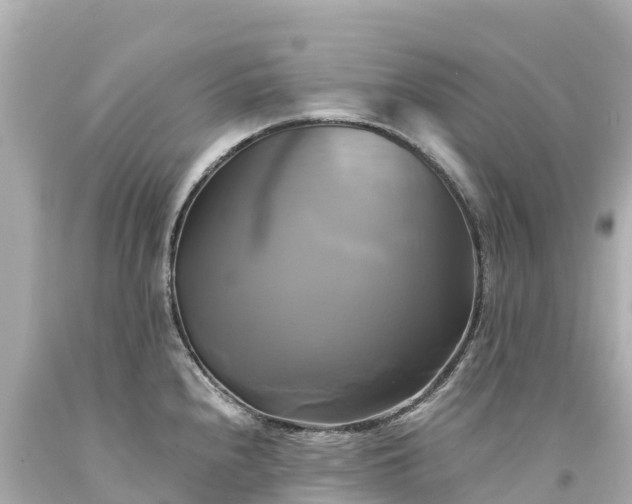 X0000094221240200711021132