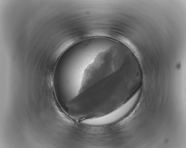 X0000094221241200711021132