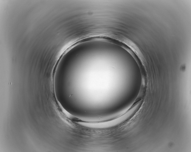 X0000094221242200711021132