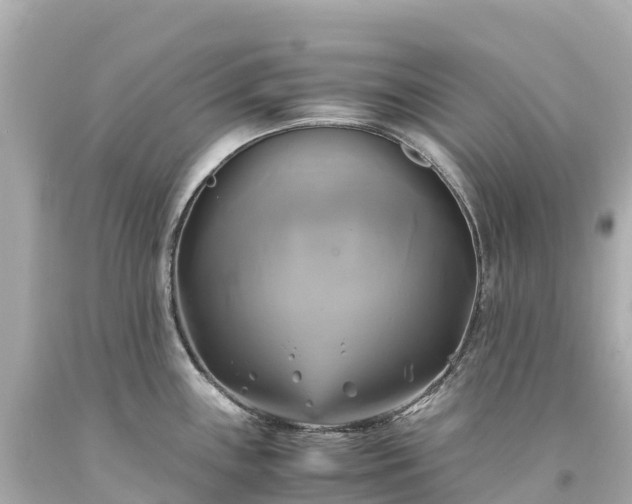 X0000094221243200711021132