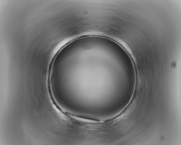 X0000094221245200711021132