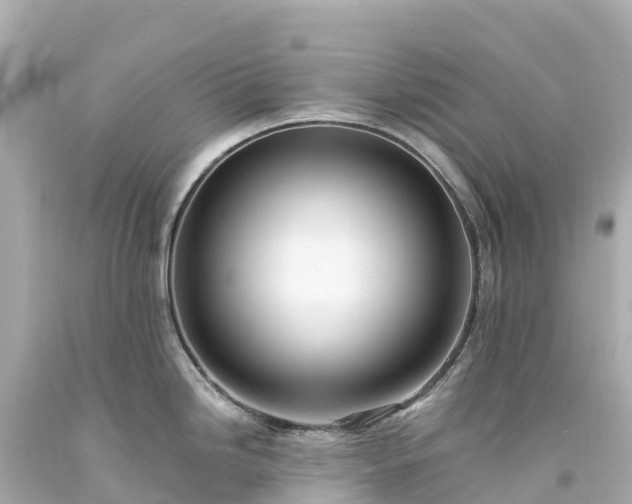 X0000094221246200711021132