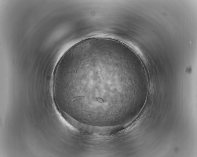 X0000094221247200711021132