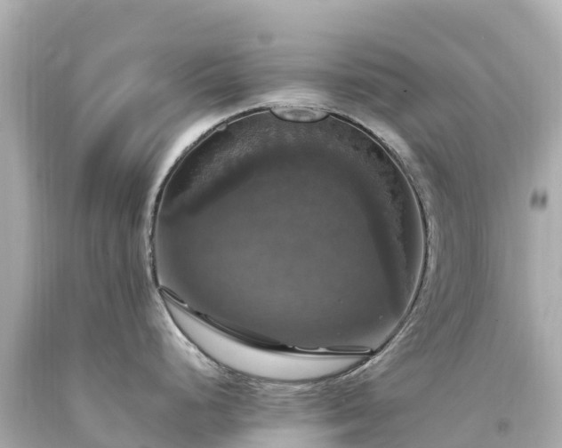 X0000094221248200711021132