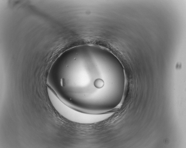 X0000094221249200711021131